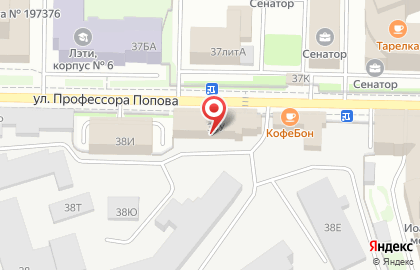 Стиль Арт-дкб на улице Профессора Попова на карте