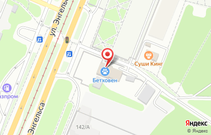 Зоомагазин Бетховен в Центральном районе на карте