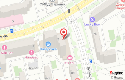 Стрит-фуд кафе ВьетNam в Луговом проезде на карте