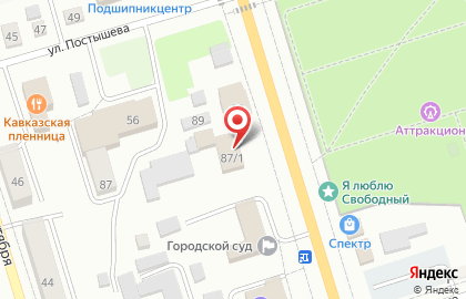 Отдел вневедомственной охраны войск национальной гвардии России по Амурской области Свободненский филиал на карте