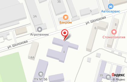 Профессиональное училище №56 на улице Шолохова на карте