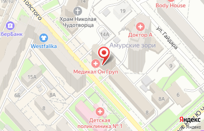 Международный медицинский центр Медикал Он Груп в Хабаровске на карте