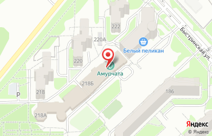 Театральная студия Амурчата на карте