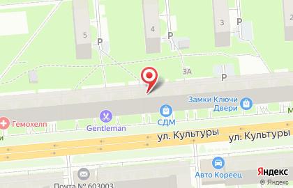 Динго на улице Культуры на карте