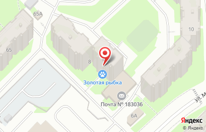 Зоомагазин Золотая рыбка на улице Мира на карте