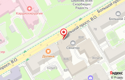 Бизнес-центр Сенатор в Василеостровском районе на карте