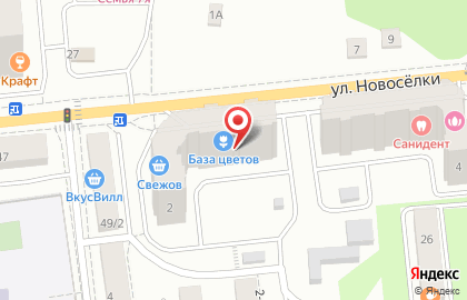 Клиника АльфаВет на улице Новоселки на карте