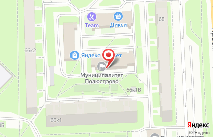 Муниципальное образование округ Полюстрово на карте