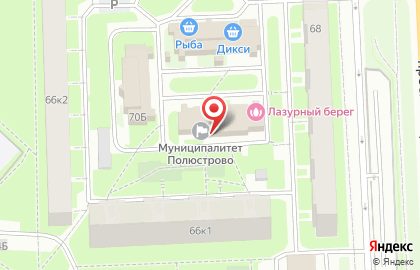 Муниципальный Округ Полюстрово на карте