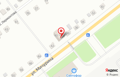 Магазин автотоваров Billgard.ru на улице Мичурина на карте
