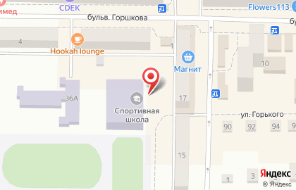 ДЮСШ Рузаевского муниципального района на карте