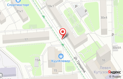 ИП РОМАНОВ на карте
