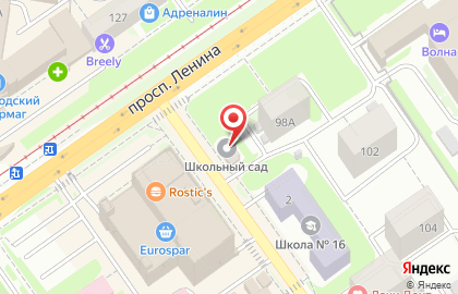 Магазин товаров для сада Школьный сад в Нижнем Новгороде на карте