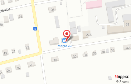 Продуктовый магазин в Челябинске на карте