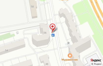 Шахматный клуб Сестрорецкий гамбит на карте
