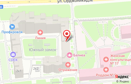 Городская ветеринарная клиника на Пулковской улице на карте