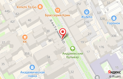 Dino Ricci в Василеостровском районе на карте