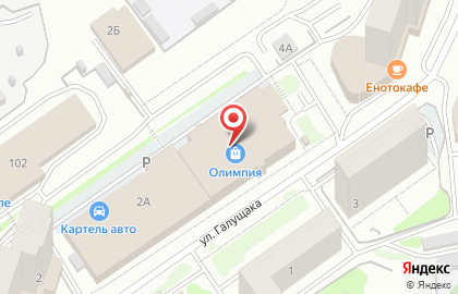 Allegro в Заельцовском районе на карте
