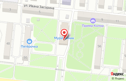 Торговый дом Муравейник в Зеленодольске на карте