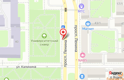 Салон цветов Фрезия на проспекте Ленина на карте