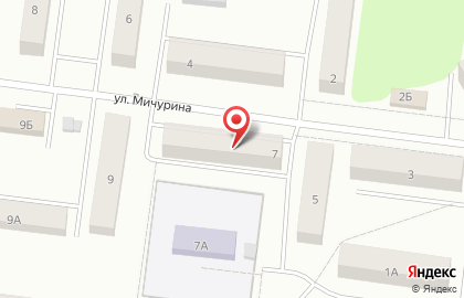Магазин мясных продуктов на улице Мичурина на карте