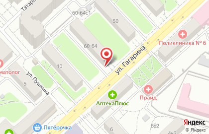 Фирменный магазин у Палыча на улице Гагарина на карте