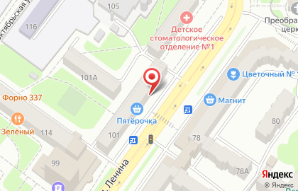 Магазин зоотоваров Лапочки на проспекте Ленина на карте