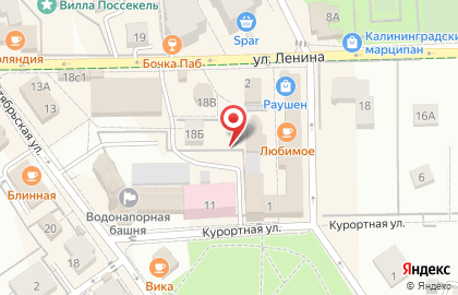 Вика на Центральной улице на карте