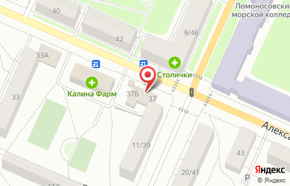 магазин молочных продуктов (ИП Соколова Надежда Григорьевна 781912141378) на карте
