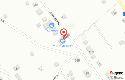 Минимаркет на Луговой улице на карте