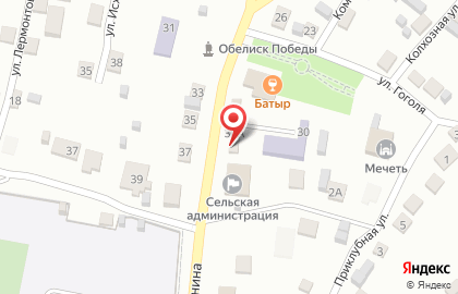 Участковый пункт полиции с. Татарская Башмаковка на карте