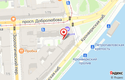 Детский сад №47, Петроградский район на карте