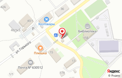 Продуктовый магазин в Новосибирске на карте