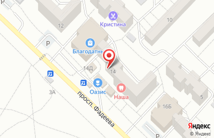 Оптика Панацея на проспекте Фадеева на карте