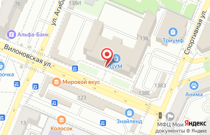 Супермаркет Магнит на Вилоновской улице на карте