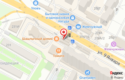 Магазин Сибирский бегемот в Советском районе на карте
