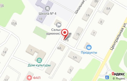 Продуктовый магазин Феникс на Центральной улице на карте