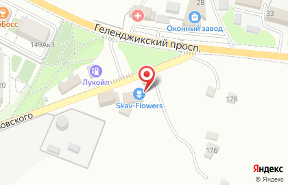 Цветочный салон Skav-flowers на карте