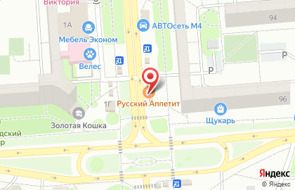 Киоск быстрого питания Русский аппетит на улице Хользунова, 96/1 на карте