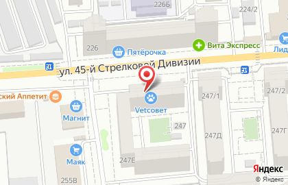 Ветеринарная клиника VETСОВЕТ на улице 45-й Стрелковой Дивизии на карте