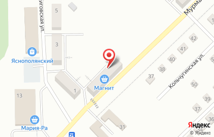 Микрофинансовая организация Актив Финанс на Мурманской улице на карте