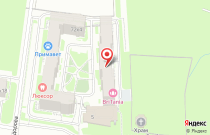 Приемный пункт химчистки Пингвин на Петергофском шоссе на карте