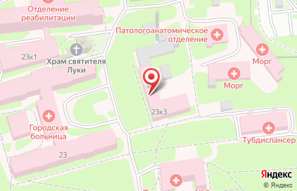 Псковская городская больница на карте