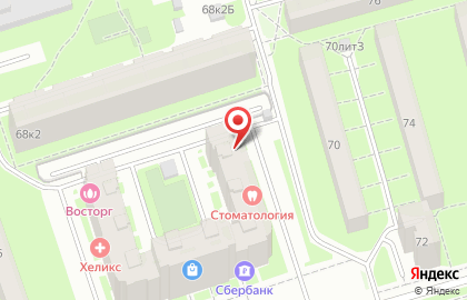 Студия красоты Багира в Санкт-Петербурге на карте