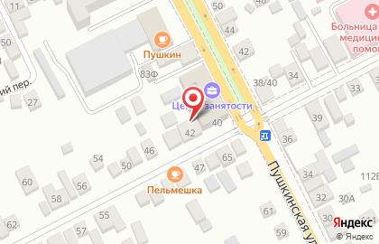 Фотоцентр Визит на Пушкинской улице на карте