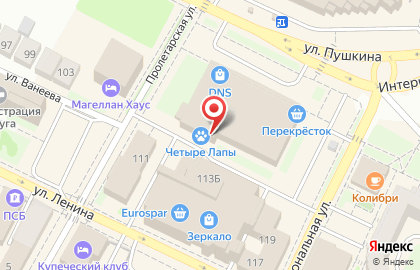 Зоомагазин Четыре Лапы на улице Пушкина на карте