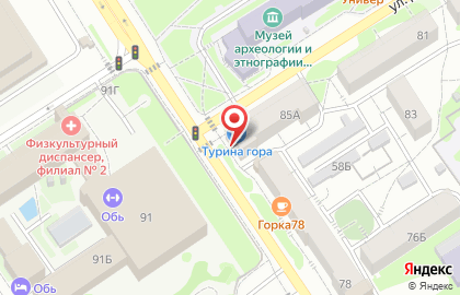 Багетная мастерская Турина гора на карте
