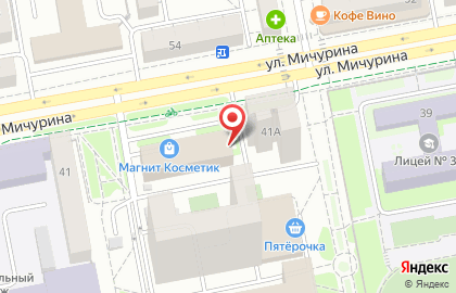 Многопрофильная фирма ЭкоБизнесПром на улице Мичурина на карте