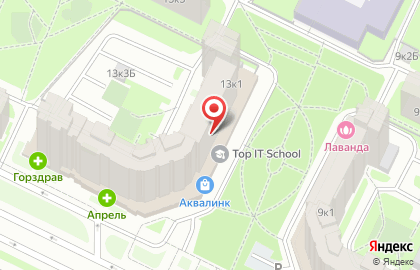 Частная школа TOP IT SCHOOL на проспекте Пятилеток на карте