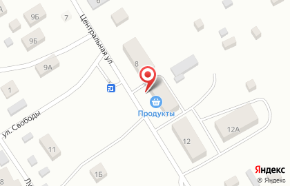 Продовольственный магазин Селянка на Центральной улице на карте